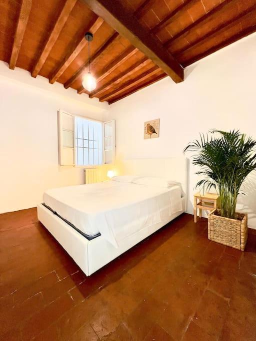 Casa Centro Firenze Wi Fi Aria Condizionata Netflix Lejlighed Eksteriør billede