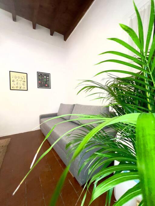 Casa Centro Firenze Wi Fi Aria Condizionata Netflix Lejlighed Eksteriør billede