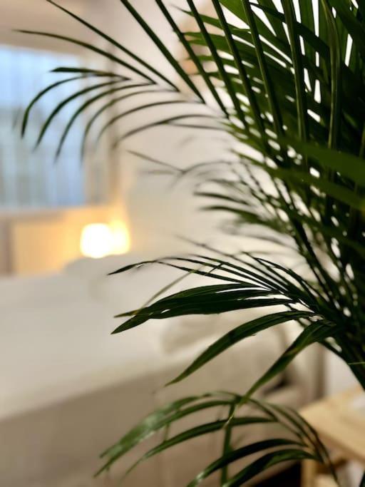 Casa Centro Firenze Wi Fi Aria Condizionata Netflix Lejlighed Eksteriør billede